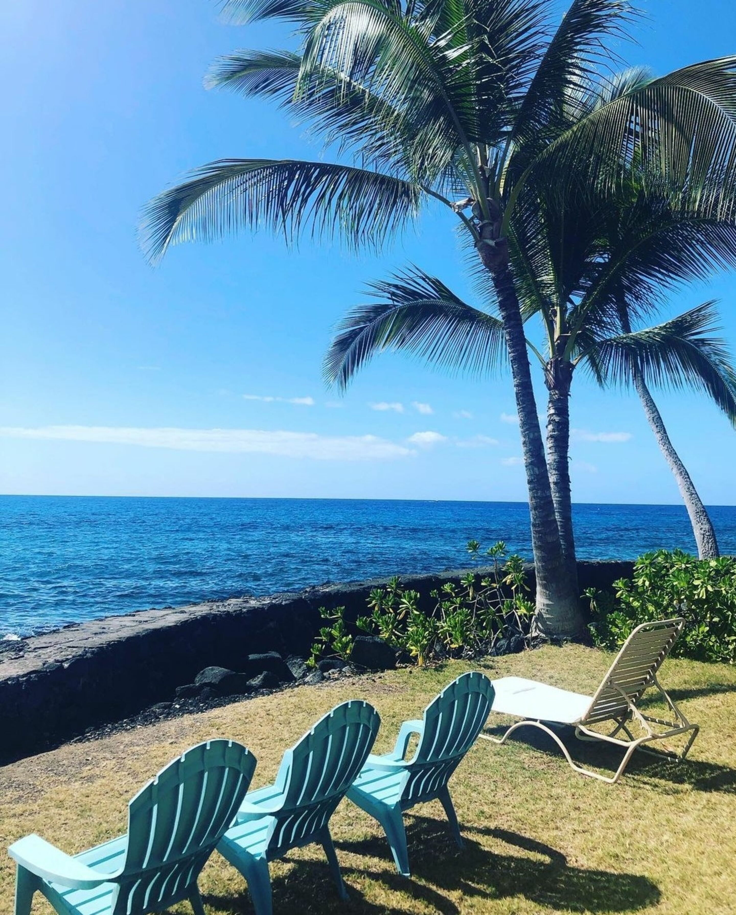 A beach with three green Adirondack chairs, a palm tree, and a view of the ocean.