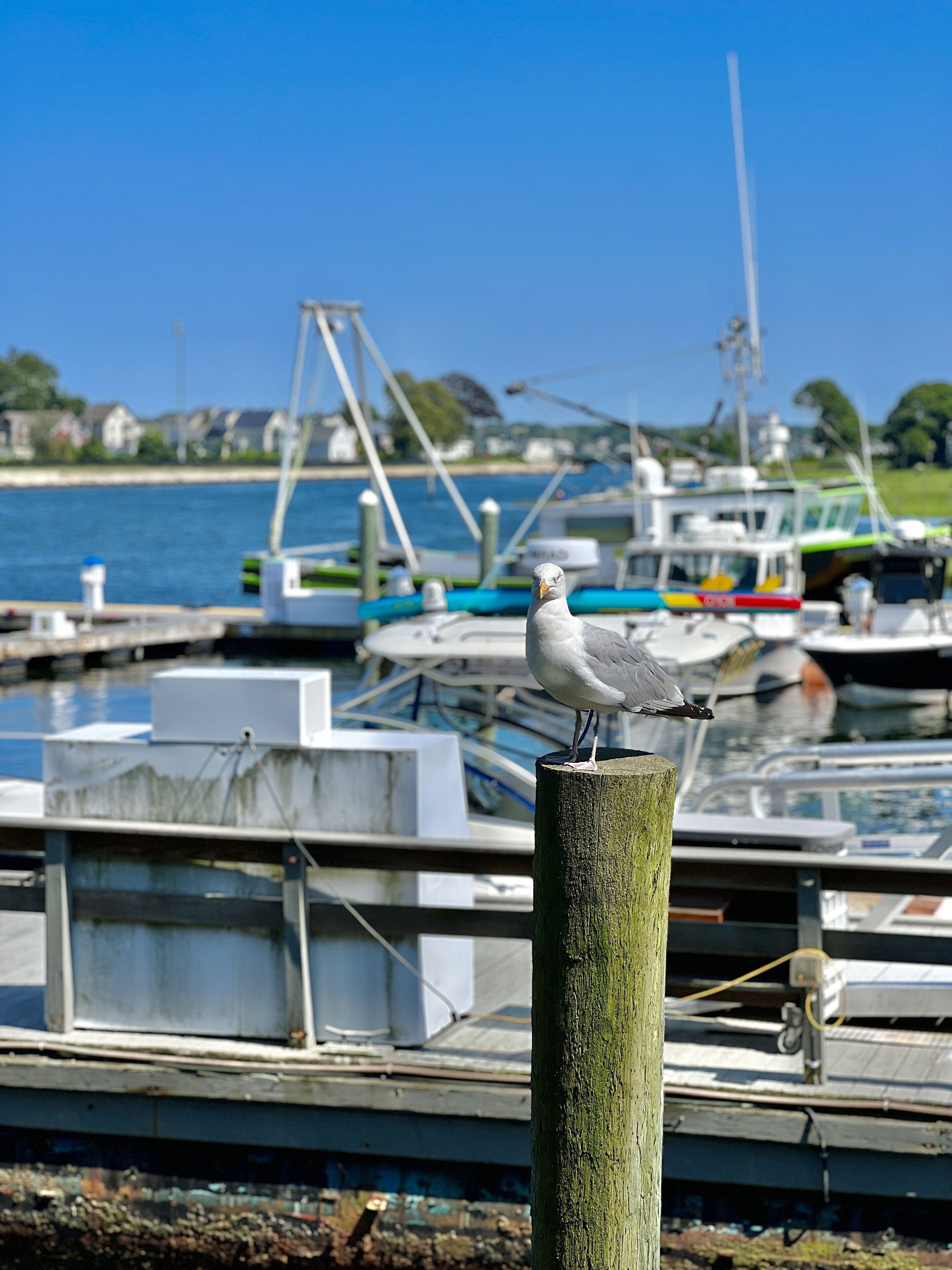 مرسى للقوارب