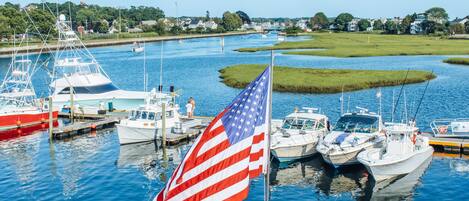 Una marina con diverse imbarcazioni ormeggiate, una bandiera americana ben visibile e una distesa d'acqua calma sullo sfondo, con vegetazione.