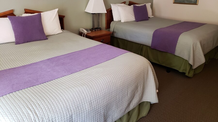 Hotsprings Village Inn