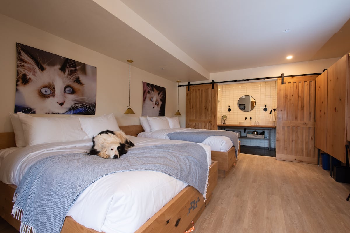 A bedroom with two beds, wooden flooring, a wooden wardrobe, a small bathroom with a mirror, and a cat painting on the wall.