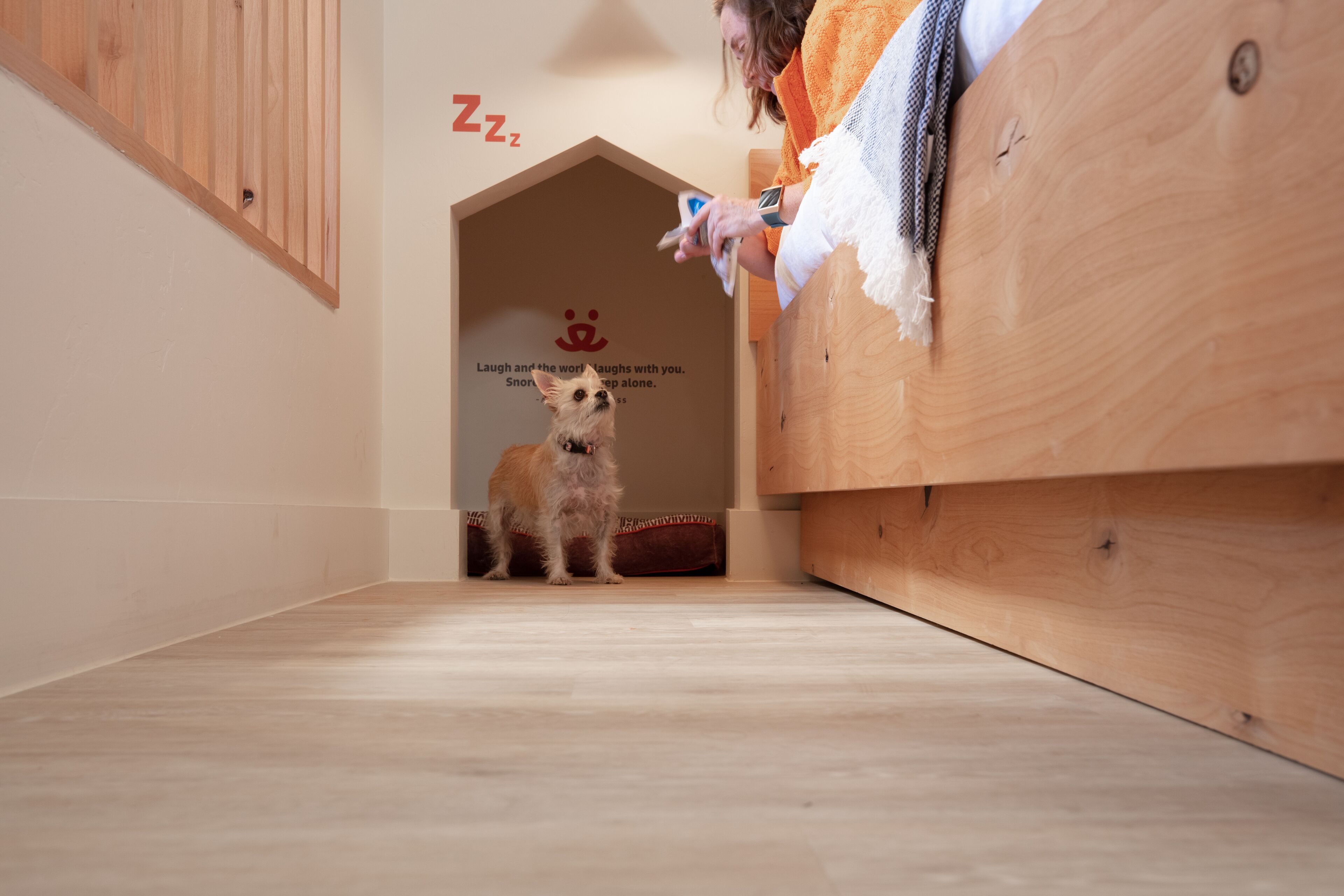 Un perro dentro de una caseta de madera con un mensaje en la pared.