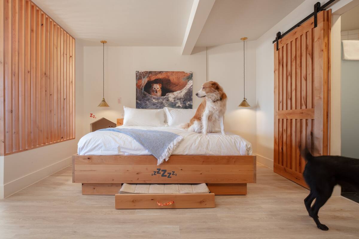 A bedroom with a wooden bed, a painting on the wall, and a dog standing on the bed.