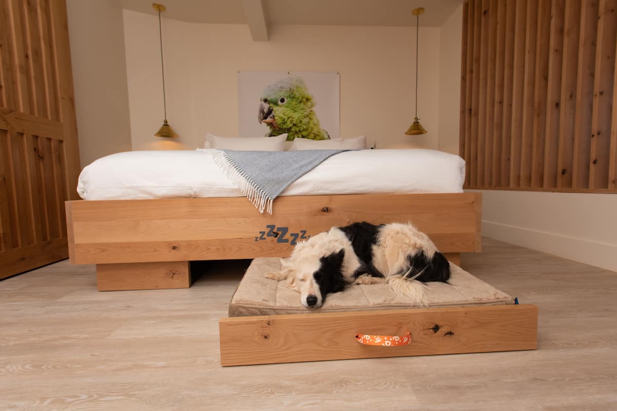 A bedroom with a wooden bed, a pet bed with a dog, a painting of a parrot, and wooden walls.