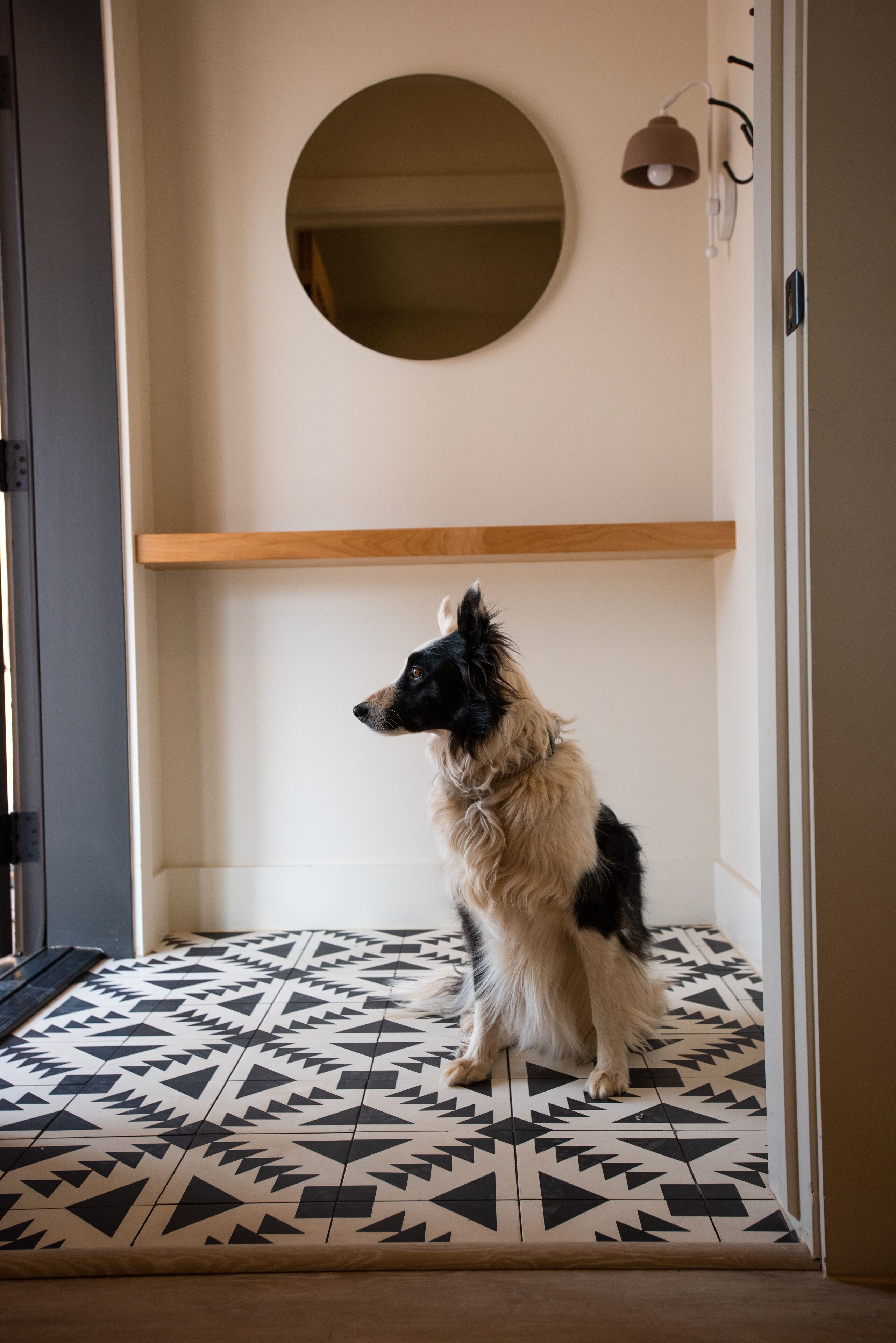 Ein Hund sitzt auf einem gemusterten Boden in einem Raum mit einem Holzregal und einem runden Spiegel an der Wand.