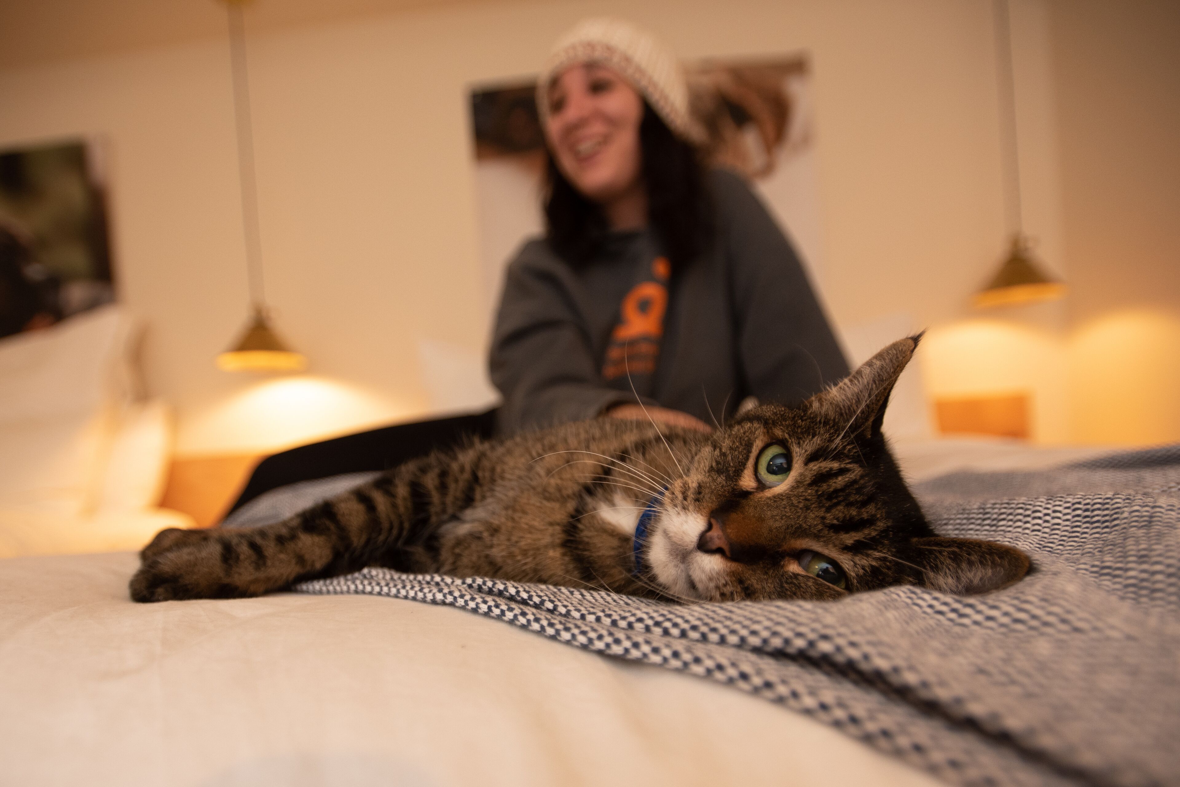 A person sitting on a bed with a cat lying beside them.