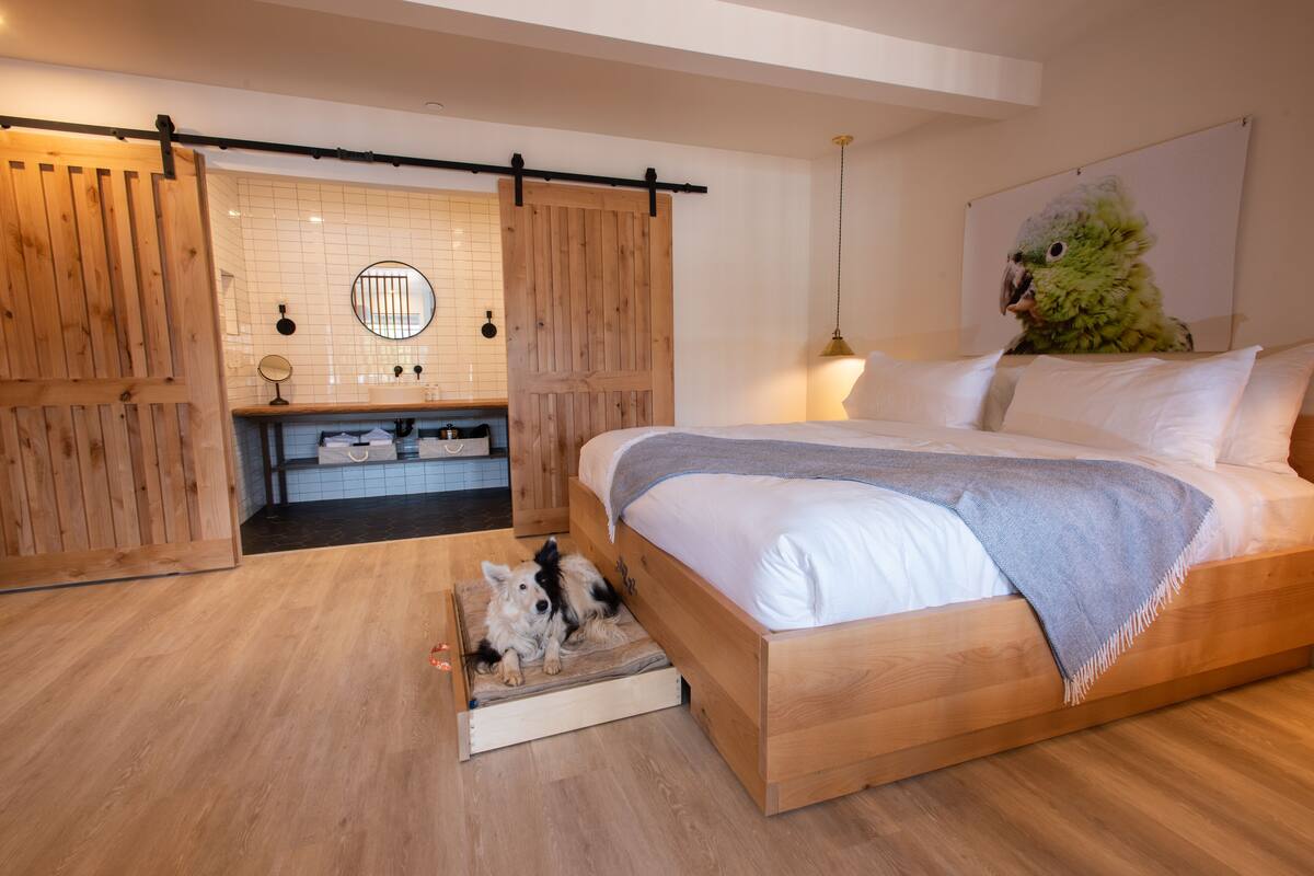 A bedroom with a wooden bed, a dog resting on a step, and a parrot on the wall.