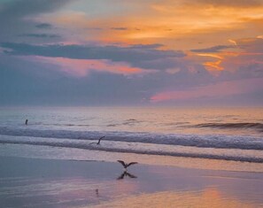 White sand - Mayfair Hotel (Belmar)