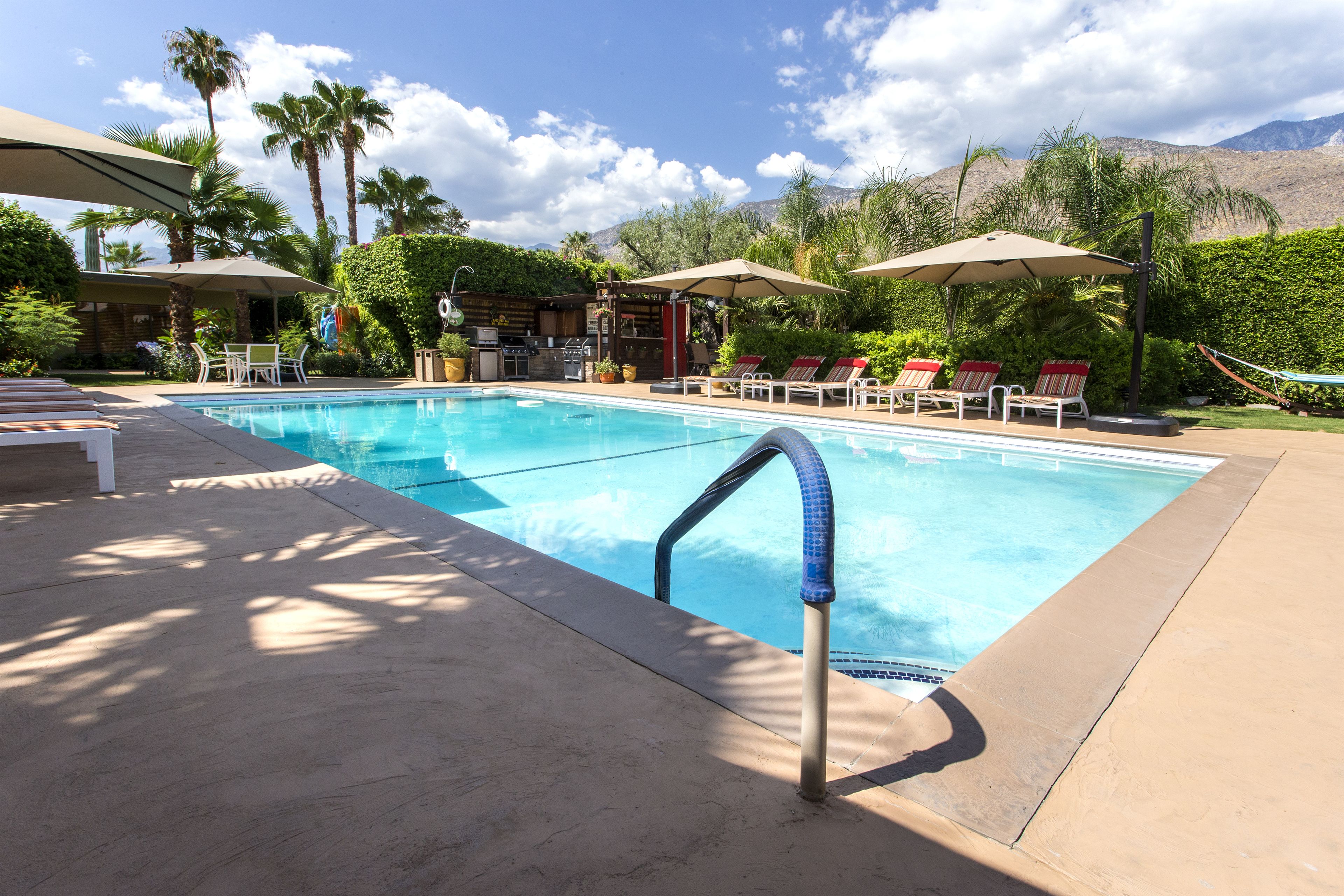 A swimming pool with lounge chairs and umbrellas, surrounded by palm trees and a mountain view.