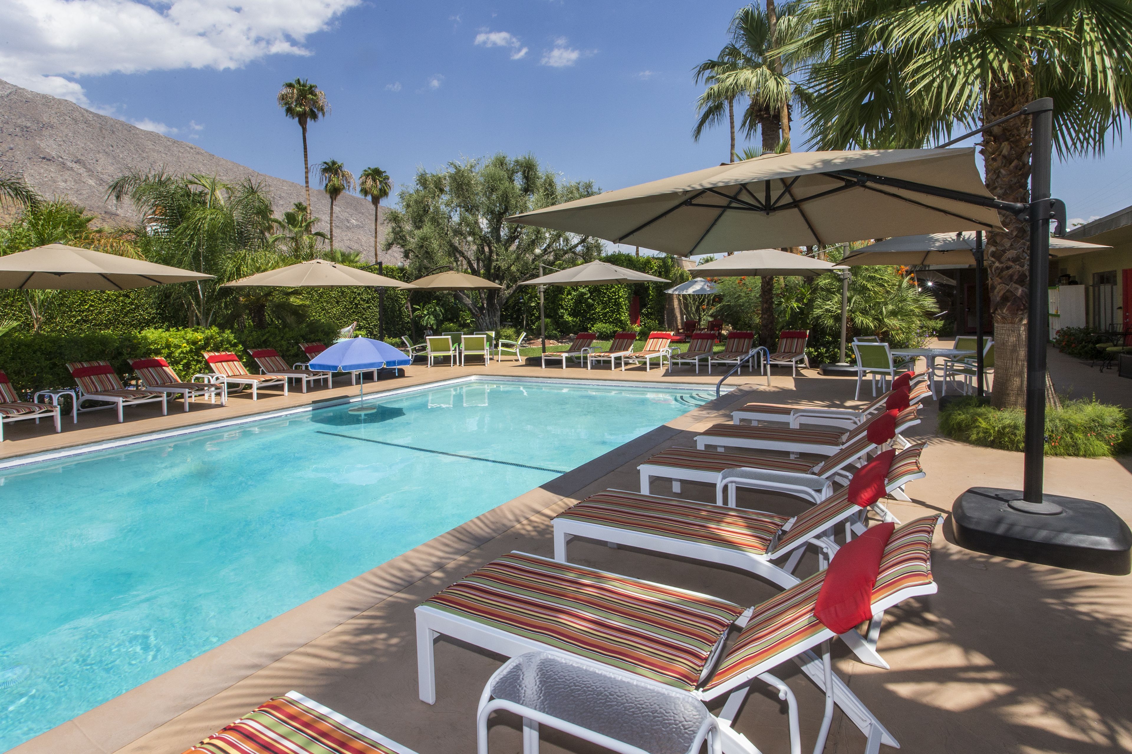 A poolside area with lounge chairs and umbrellas, surrounded by palm trees and a mountain in the background.