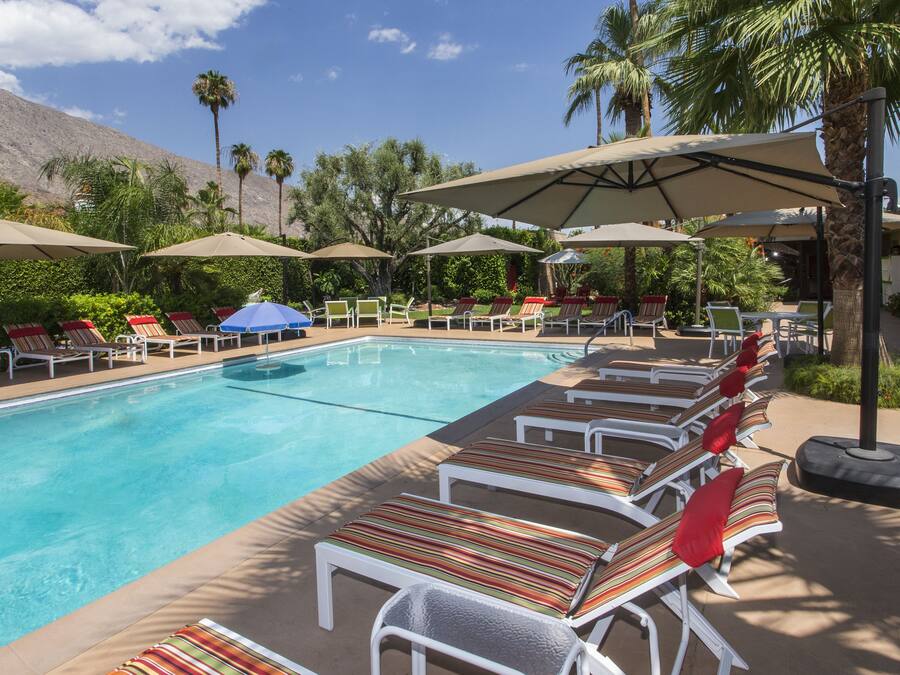 A poolside area with lounge chairs and umbrellas, surrounded by palm trees and a mountain in the background.