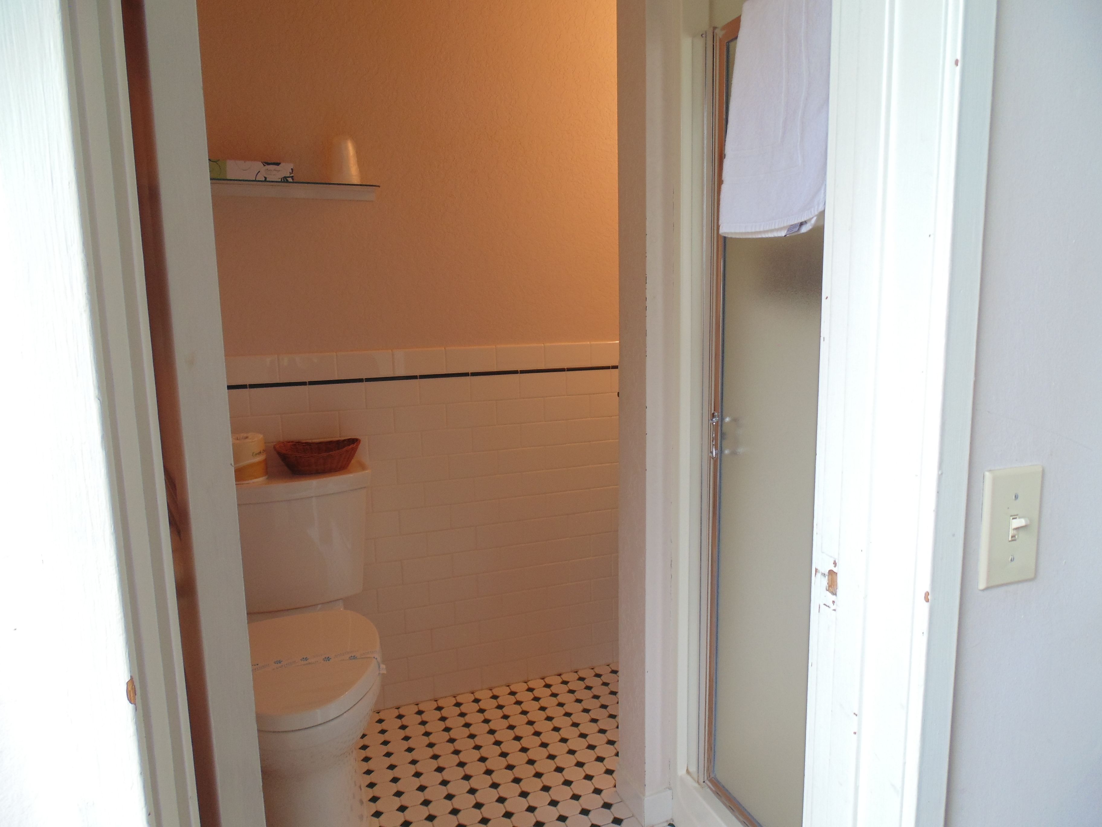 A small, compact bathroom with a toilet, a shelf above it, and a shower area.