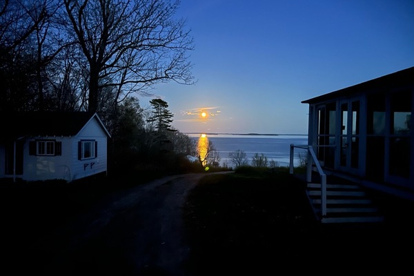 Eksteriør