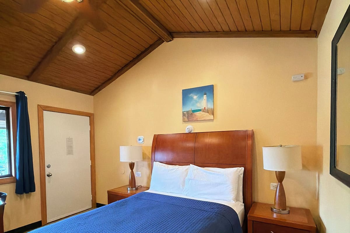 Chambre, 1 grand lit | Accès au Wi-Fi (inclus), literie fournie
