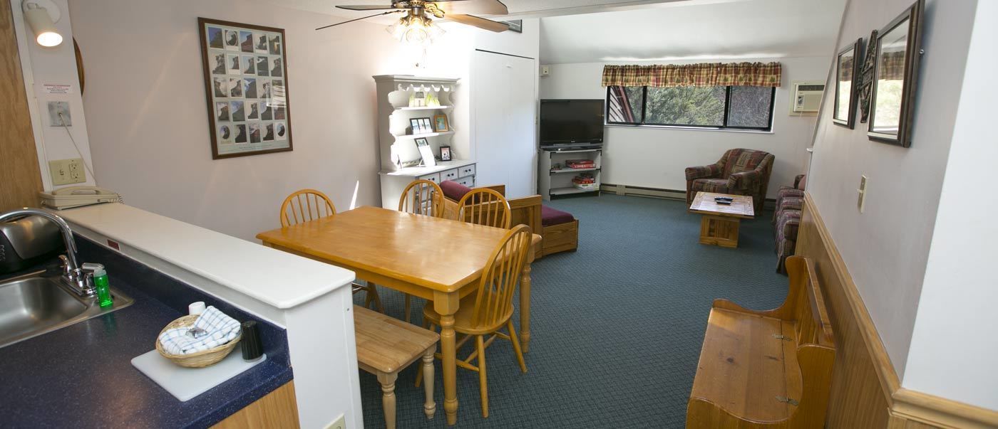 A compact living space with a kitchen, dining area, and a seating area with a television.