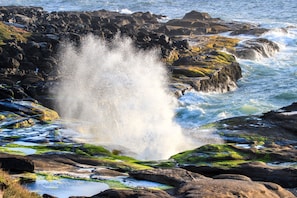 A rocky coastal scene with waves crashing against the rocks. - Overleaf Lodge (Yachats)