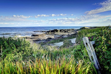 Vista a la playa o al mar. Overleaf Lodge