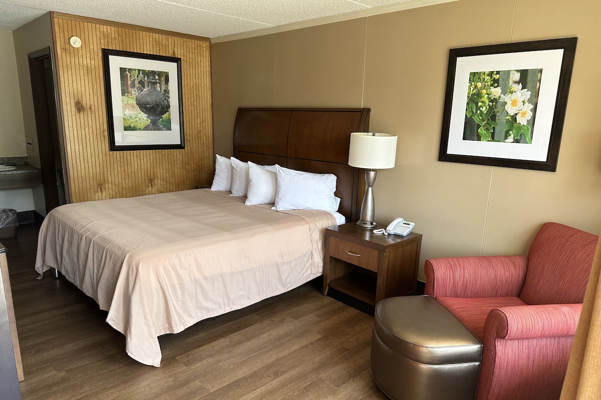 Une chambre d’hôtel avec un grand lit, une tête de lit en bois, une table de chevet avec une lampe et un téléphone, un fauteuil rouge et deux tableaux encadrés accrochés aux murs.