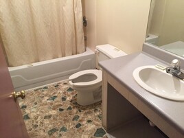 Ducha y bañera combinadas y cabezal de ducha tipo lluvia