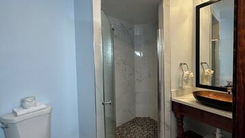 Casa de banho com sanita, chuveiro com porta de vidro, lavatório com espelho e candeeiro no teto.