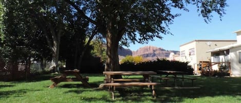 Aire de pique-nique/barbecue