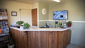 Un mostrador de recepción con acabado de madera, un televisor montado y varias plantas en macetas.