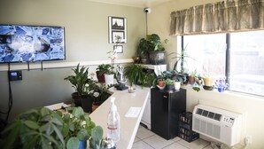 Un mostrador de recepción con varias plantas en macetas, una cámara de seguridad y un televisor montado que muestra imágenes de vigilancia.