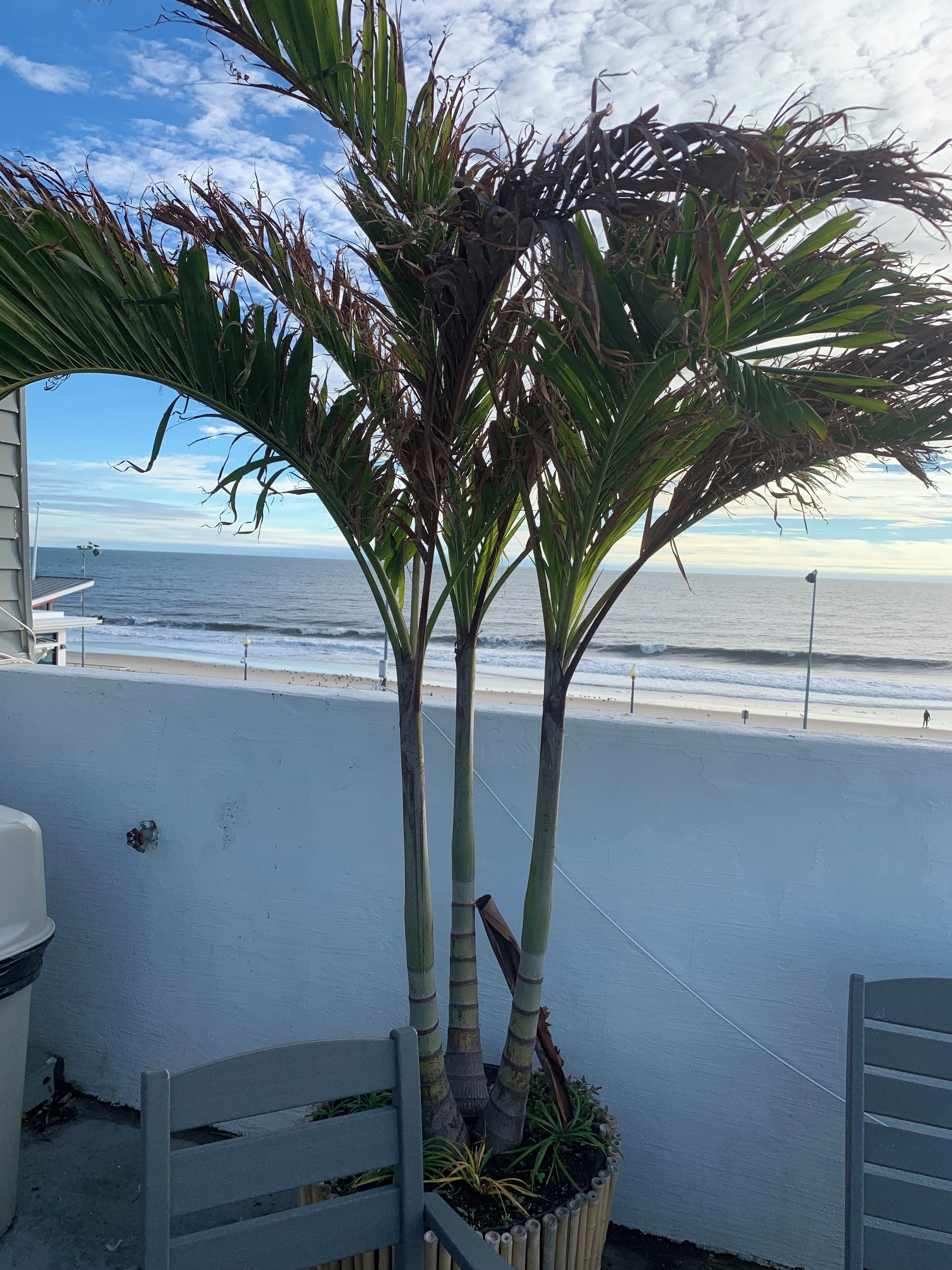 Foto - Admiral on Baltimore