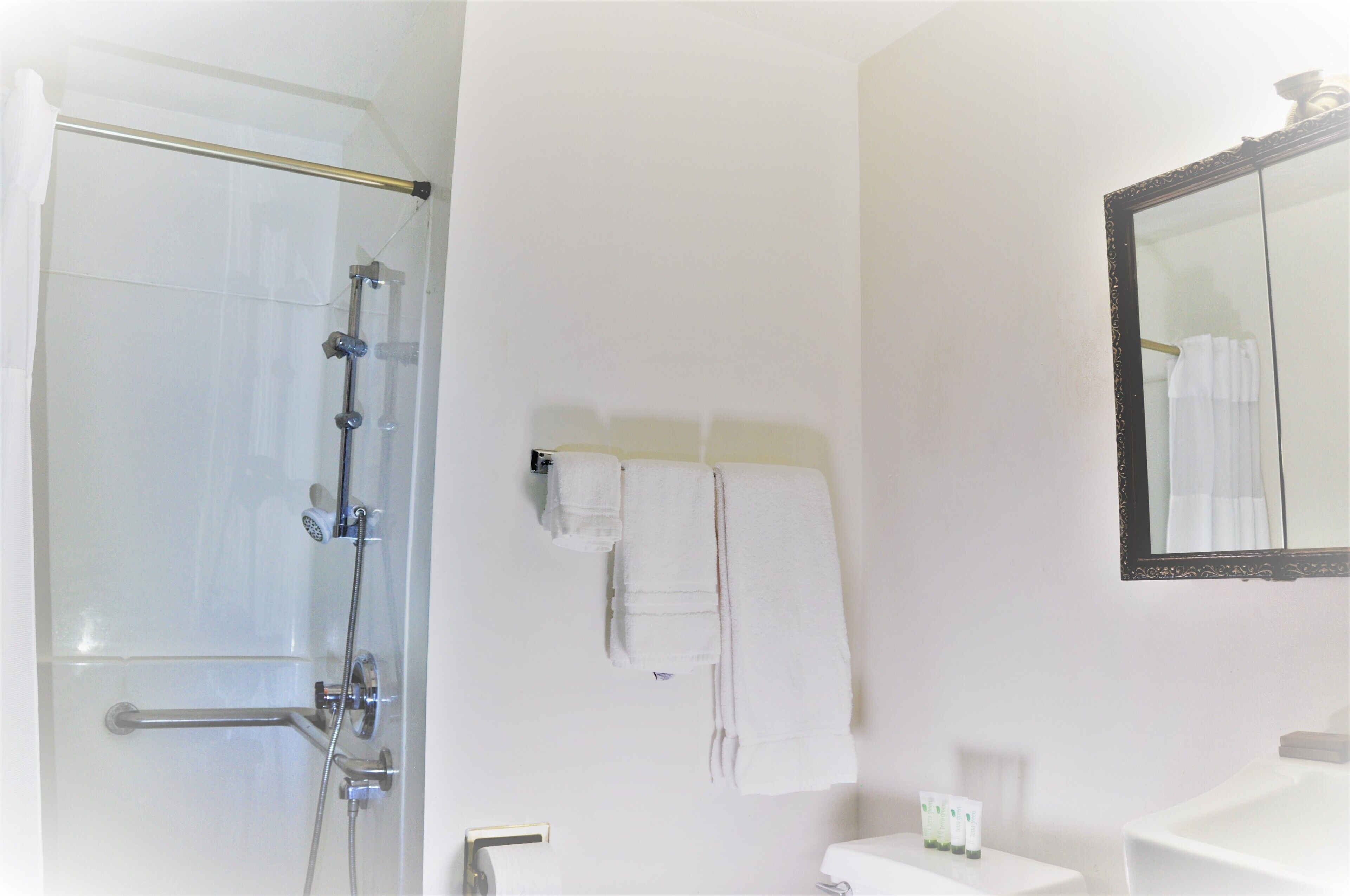 A bathroom with a shower, a sink, a toilet, and a mirror.