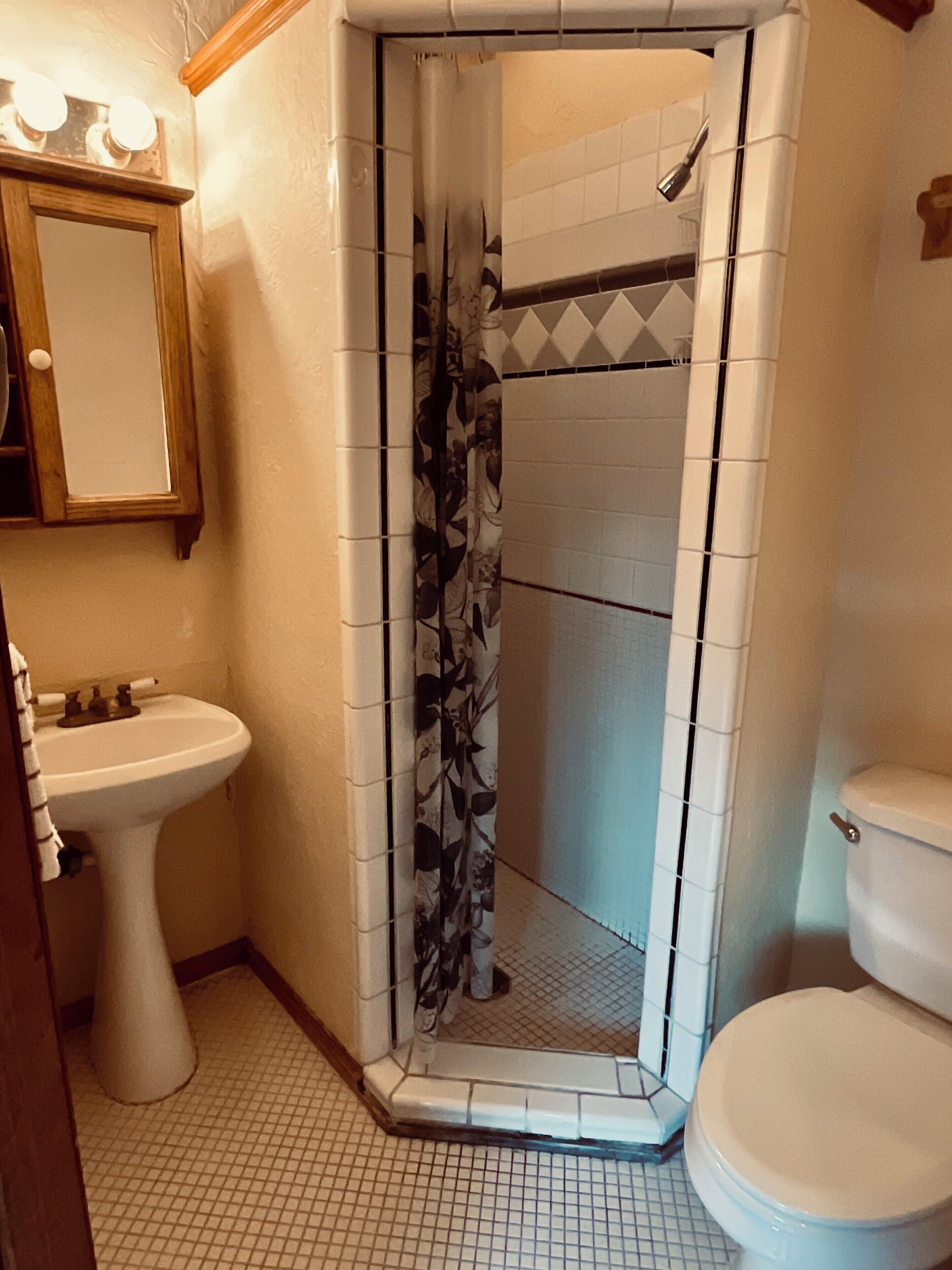 Une salle de bain avec une douche, un lavabo et des toilettes.