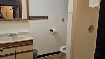 A bathroom with a wooden vanity, a mirror, a toilet, and a shower door.
