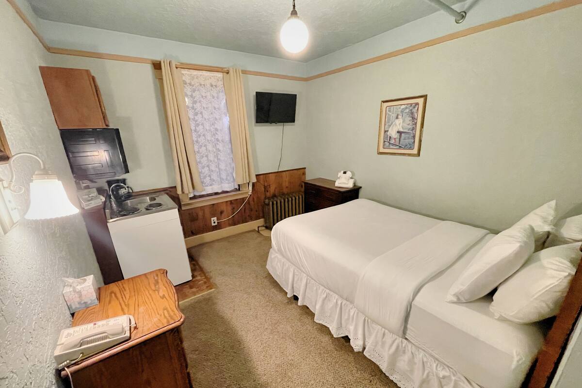 A hotel room with a bed, a desk with a telephone, a radiator, a television, and a window with curtains.