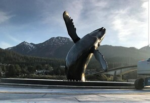 Experience the majestic whale sculpture, set against a stunning mountain backdrop and a picturesque bridge.