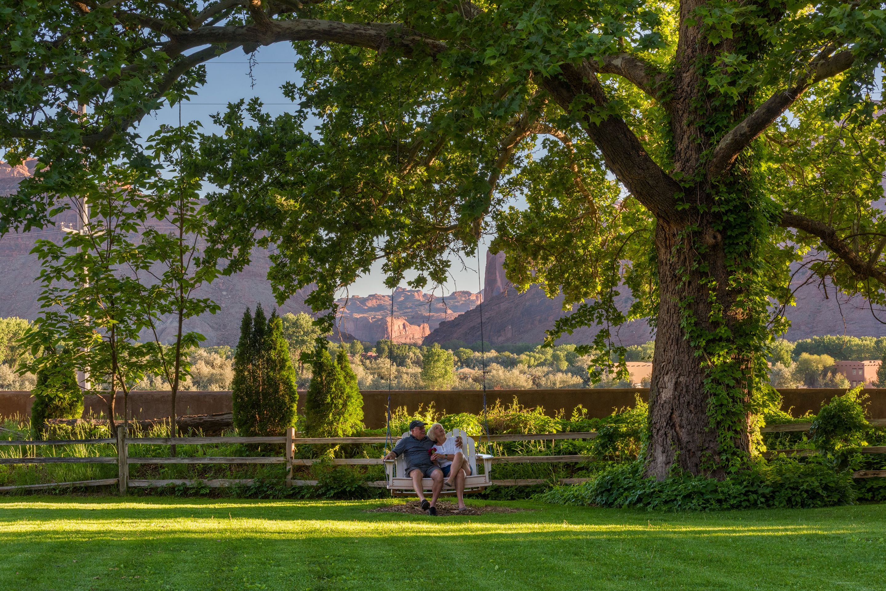 Una pareja sentada en un columpio bajo un árbol grande, con vistas a un cañón al fondo.