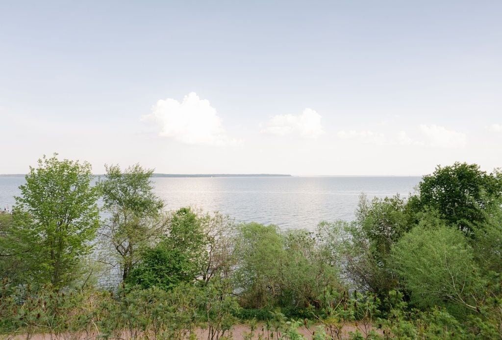 A coastal landscape with trees and a view of the sea.