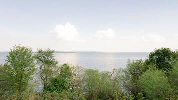 A coastal landscape with trees and a view of the sea.