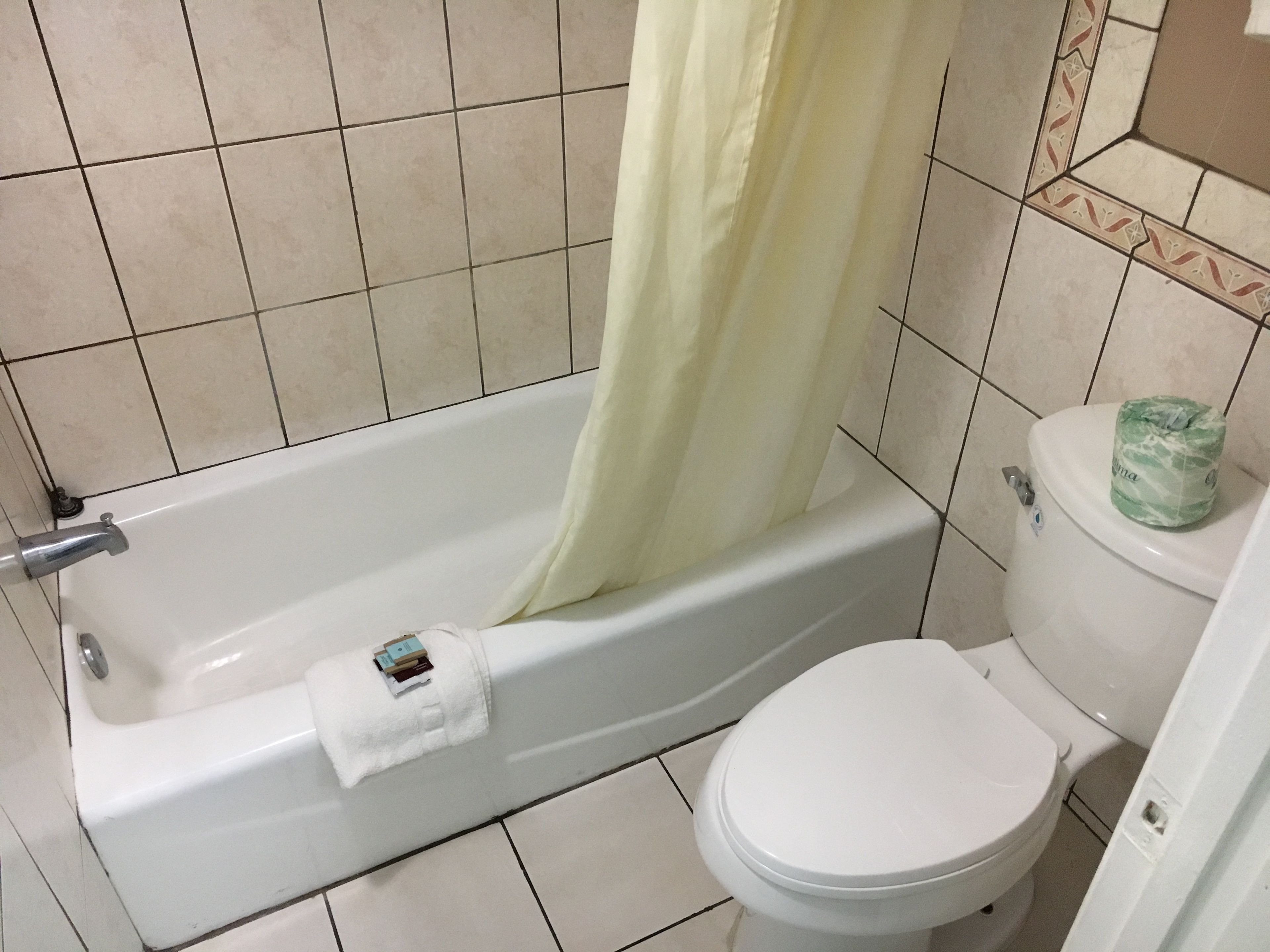 A bathroom with a bathtub, toilet, and a shower curtain.