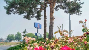 A roadside sign with a number 6, two trees, and a flower bed with pink flowers. - Studio 6 Suites Albany, OR (Albany)