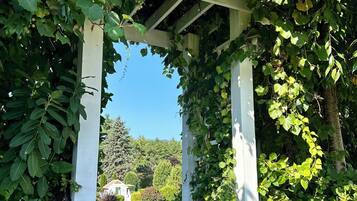 Een tuinpad onder een pergola begroeid met klimplanten, dat leidt naar een huis.