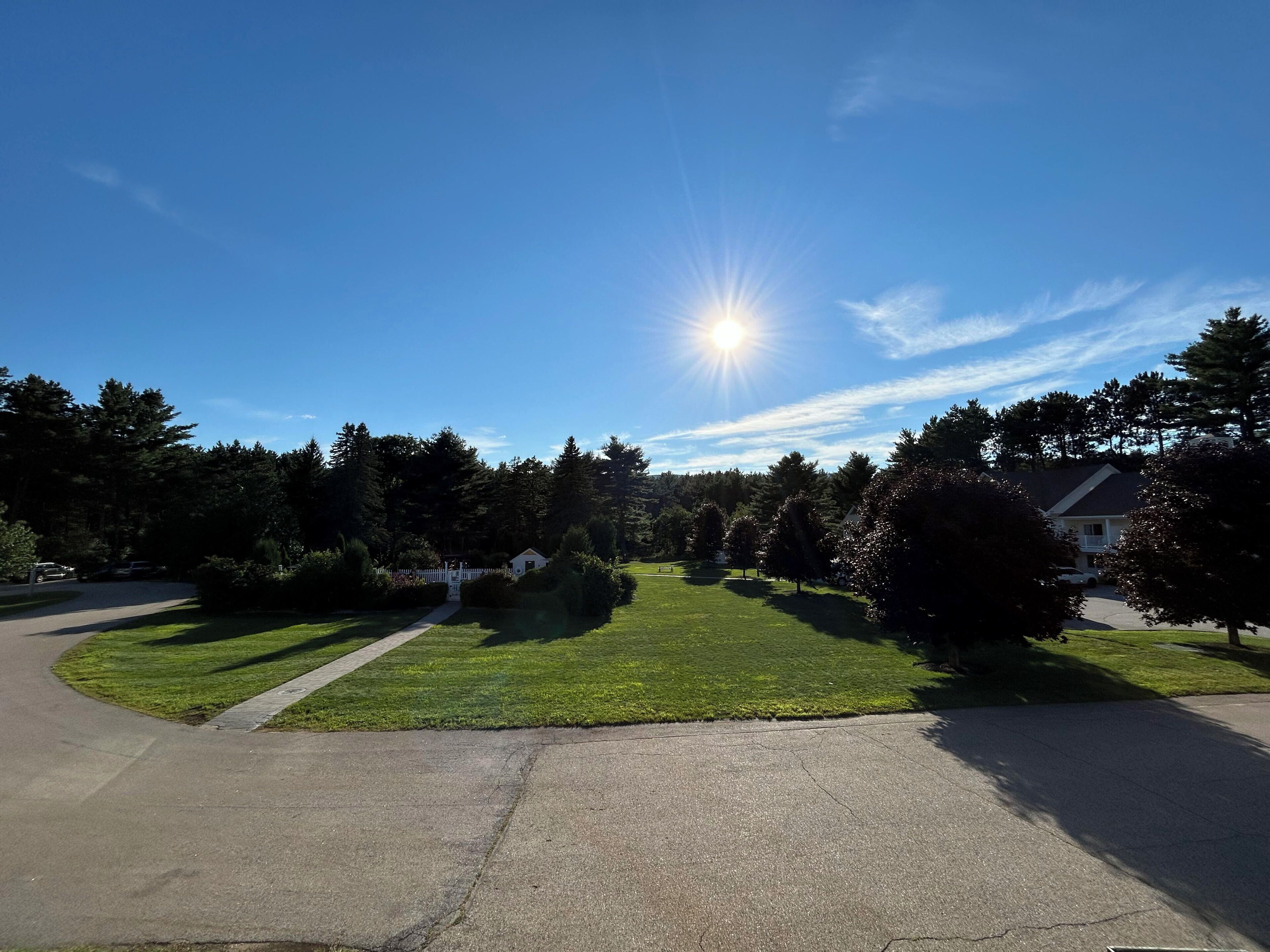 A residential driveway with a lawn and trees.