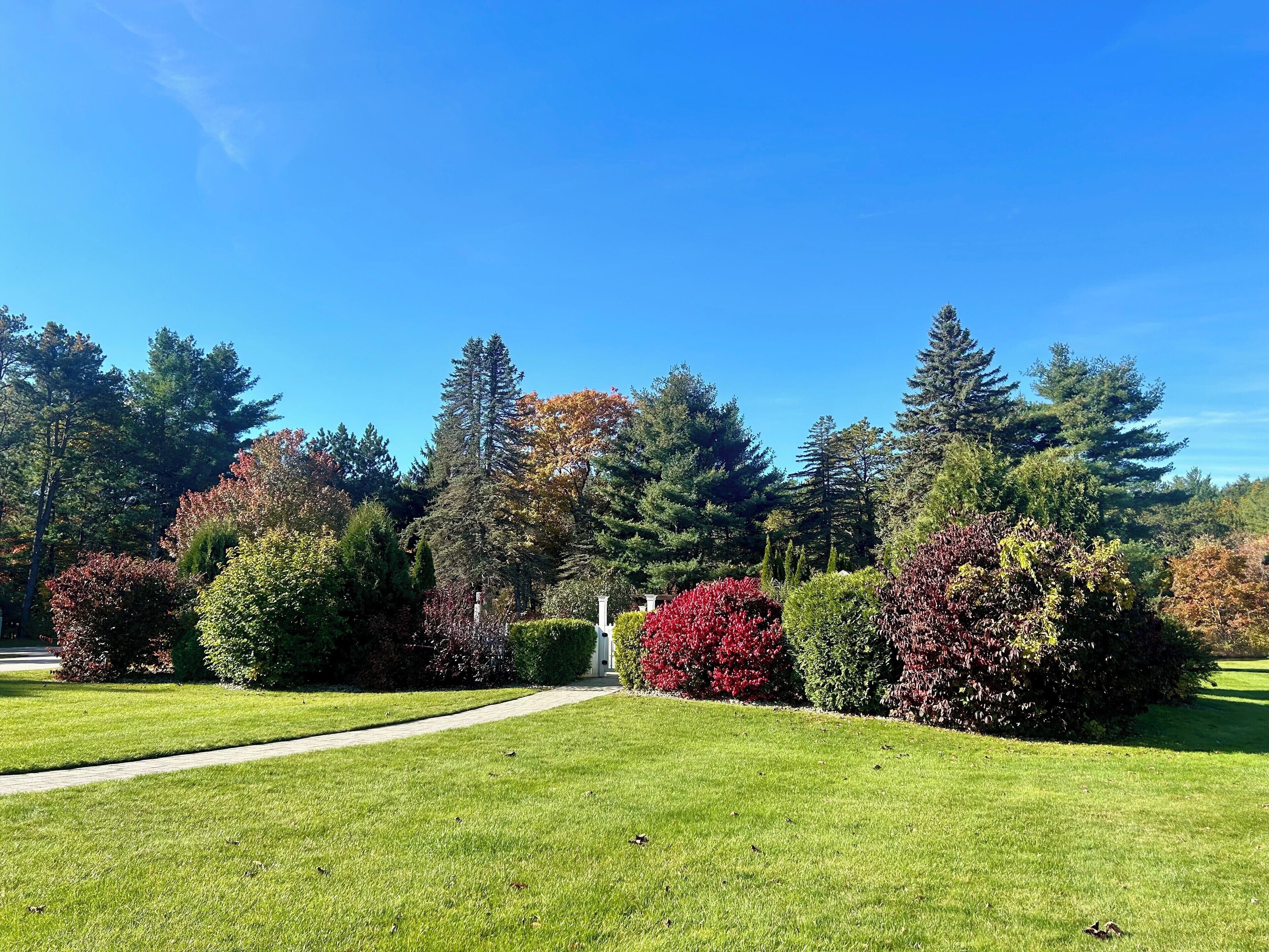 A well-maintained garden with a variety of trees and shrubs, a clear pathway, and a neatly trimmed lawn.
