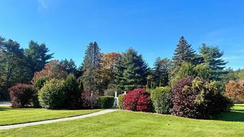 A well-maintained garden with a variety of trees and shrubs, a clear pathway, and a neatly trimmed lawn.