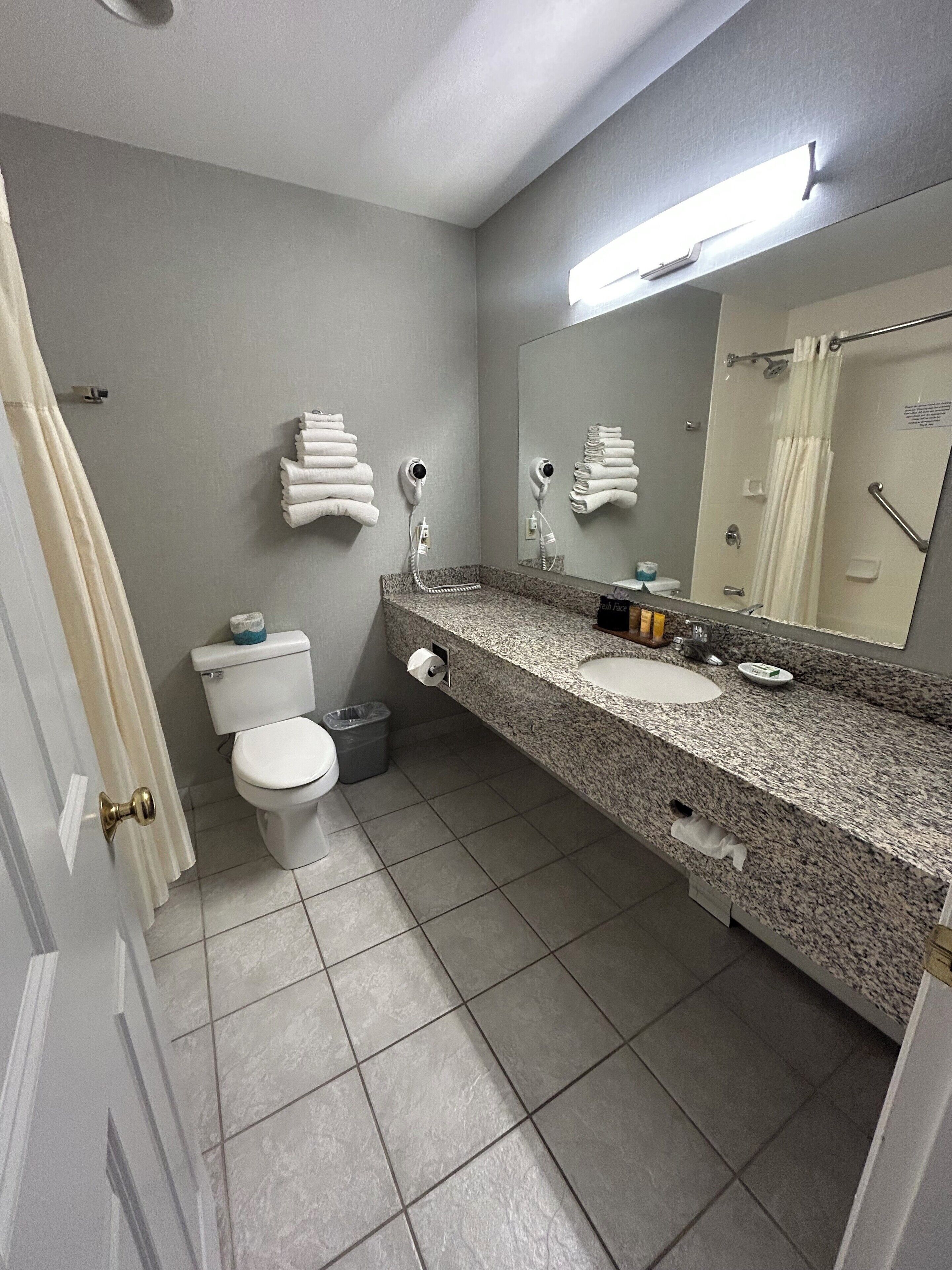 Ein Badezimmer mit Toilette, Waschbecken und Spiegel. Handtücher h ängen an der Wand und ein Duschvorhang ist angebracht.