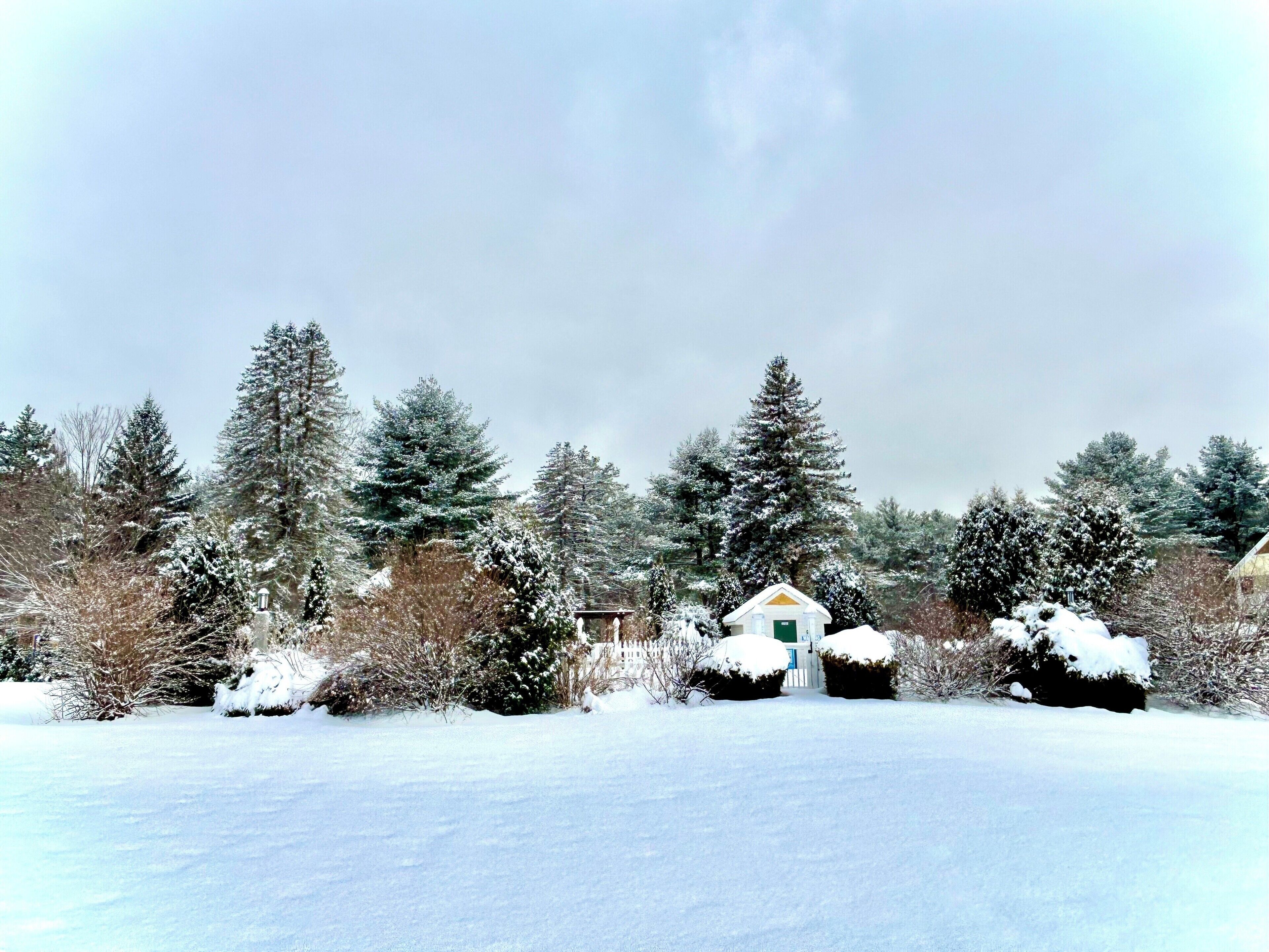 A snow-covered landscape with a small white building surrounded by snow-laden trees and bushes.