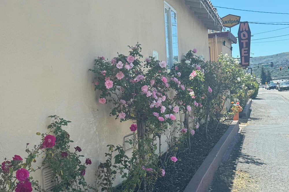 Tamalpais Motel