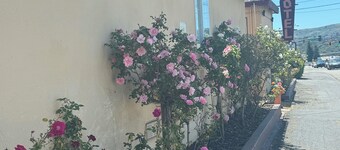 塔馬爾派斯汽車旅館