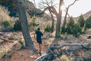 A person running on a dirt path surrounded by dry vegetation and trees. - The Stranger Lodge (Sisters)