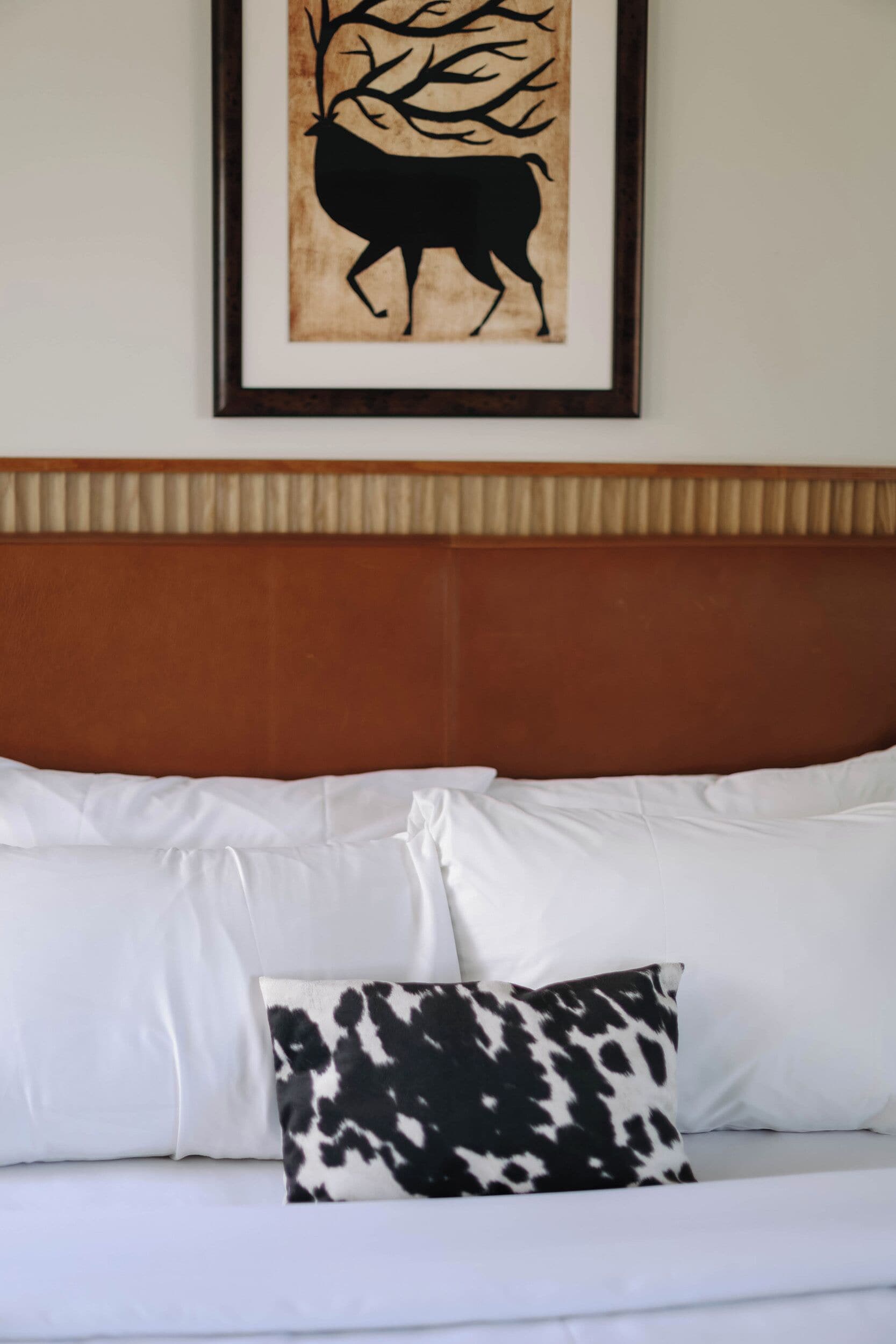Superior Studio Suite, 1 Queen Bed, Kitchen, Mountain View | Premium bedding, individually decorated, individually furnished