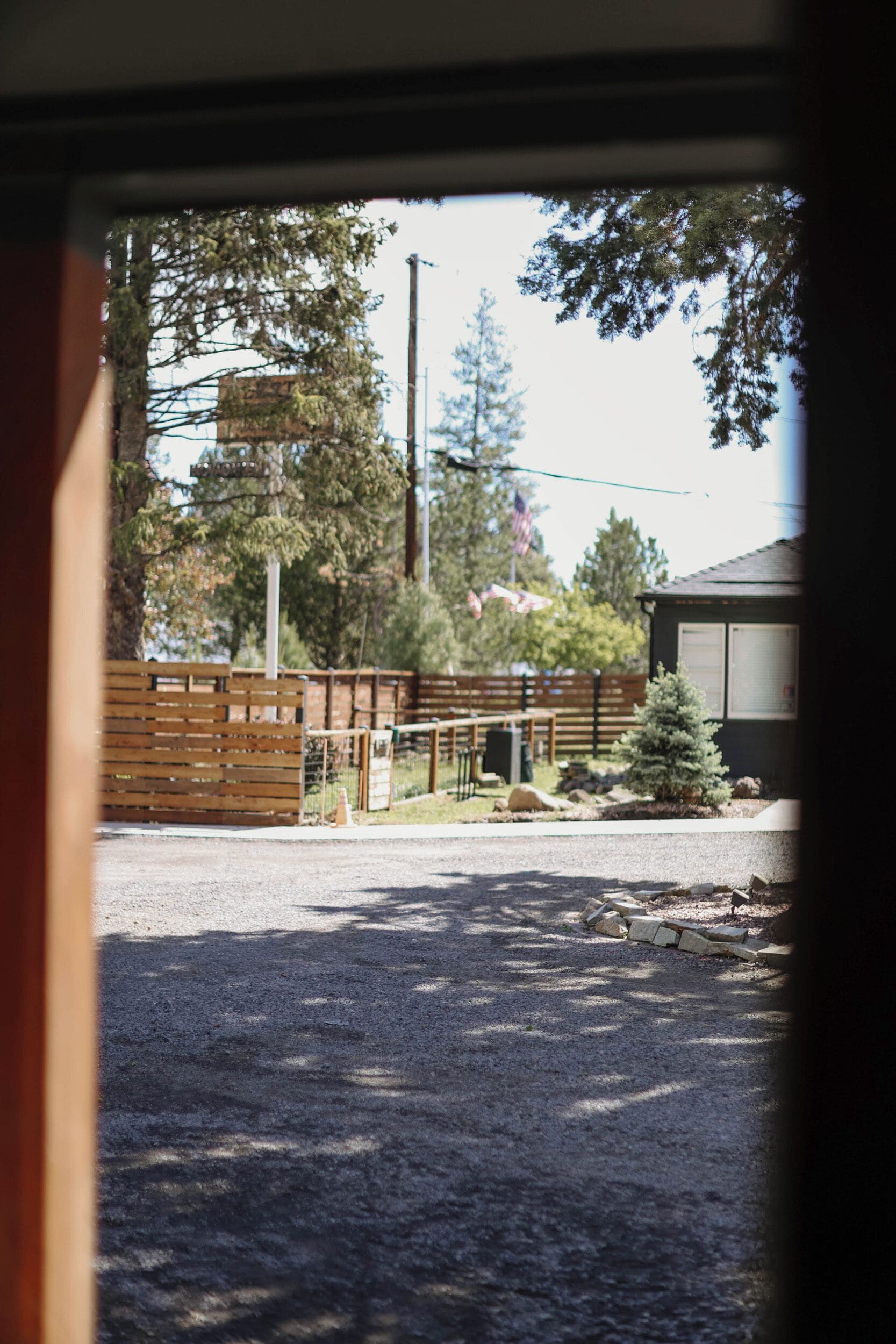 A view through a window of a paved area with a wooden fence, a small tree, and a building in the background.