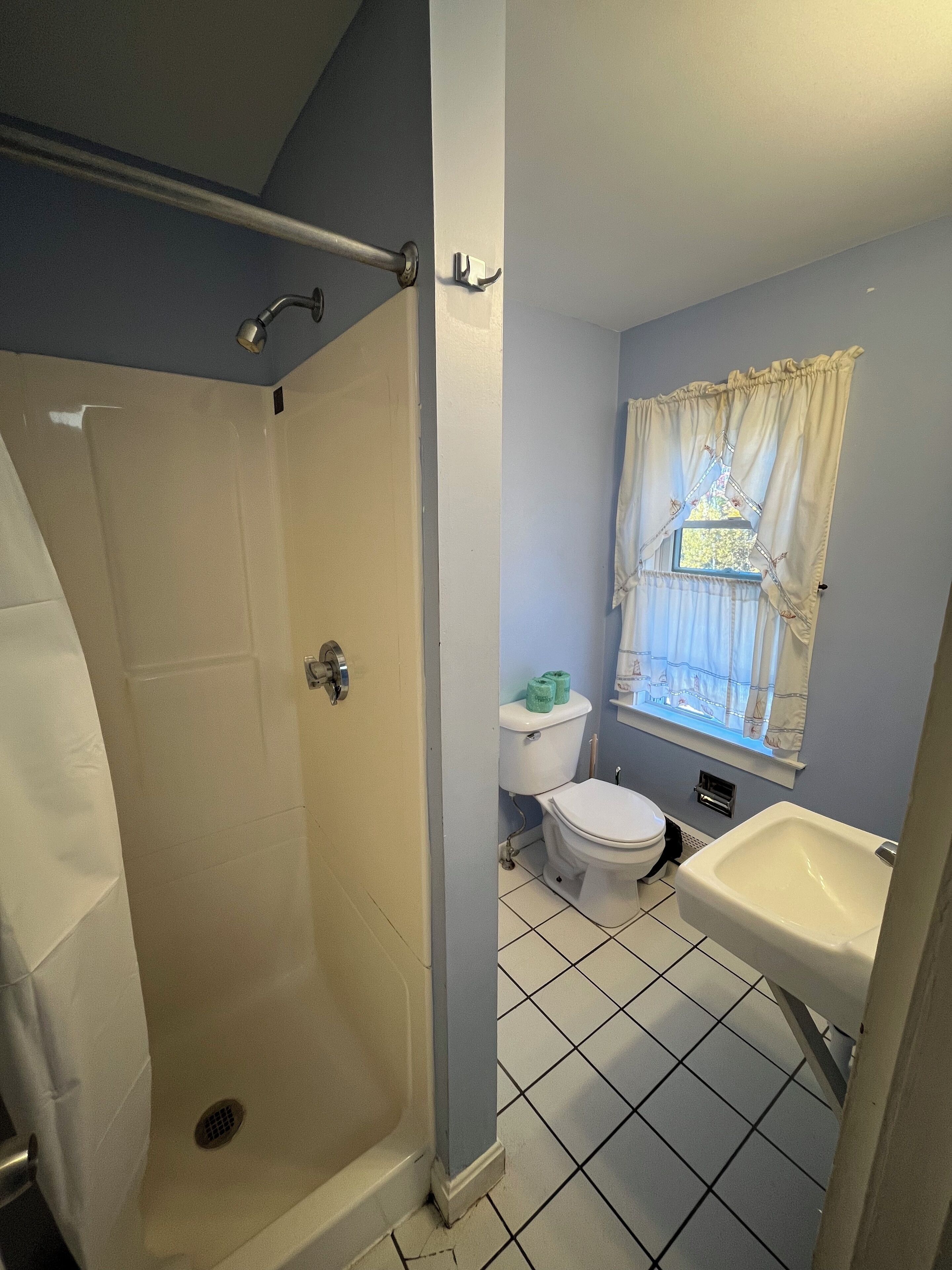 Un bagno con doccia a ingresso diretto, WC e lavandino.
